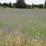 Surroundings