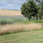 Surroundings