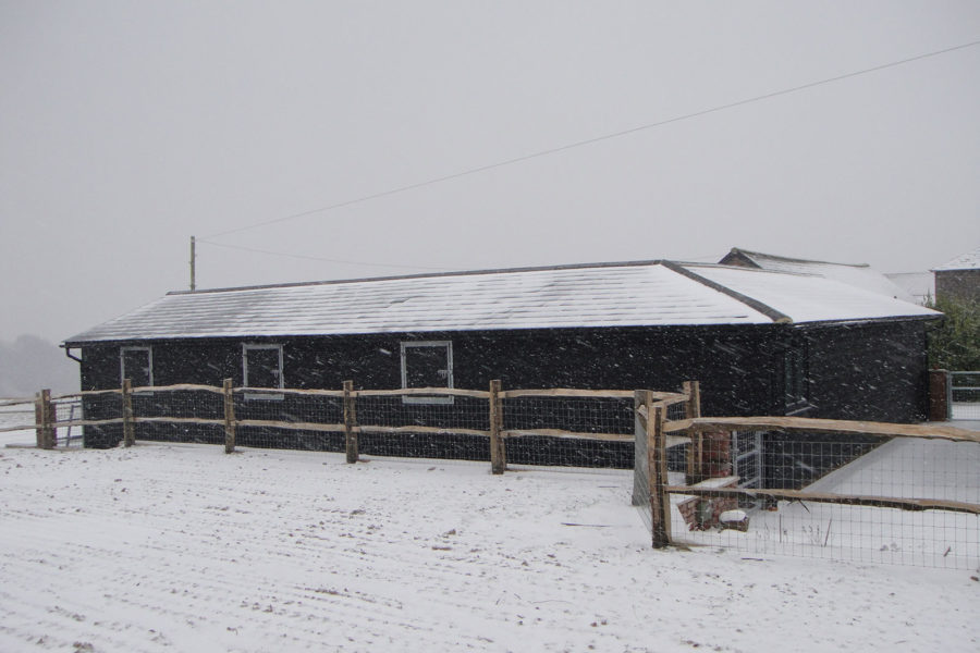 Surroundings
