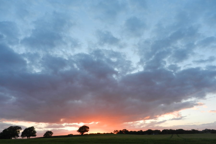 Surroundings