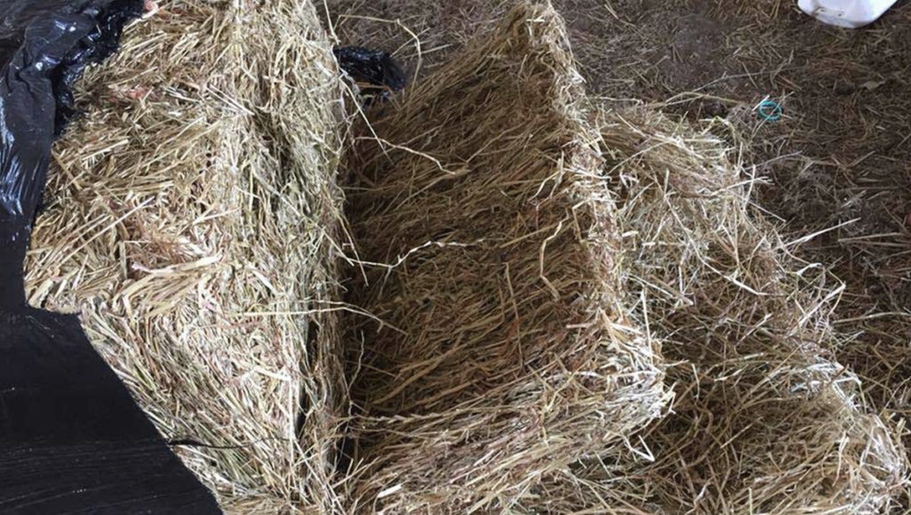 Horse Haylage - Knockbridge Farm