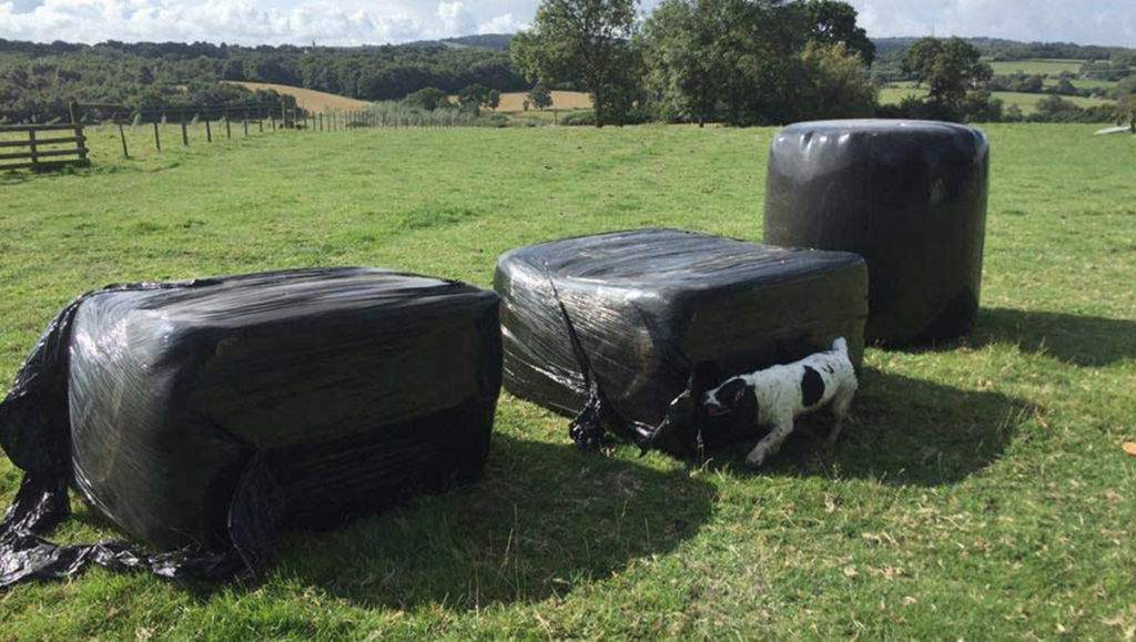 Horse Haylage - Knockbridge Farm