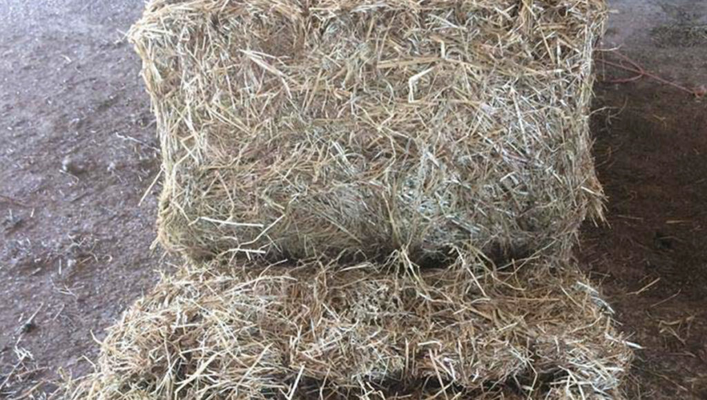 Horse Haylage - Knockbridge Farm